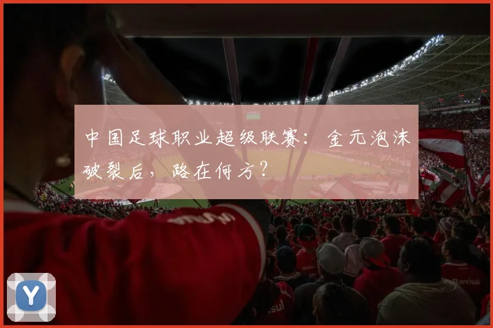 中国足球职业超级联赛:金元泡沫破裂后,路在何方?