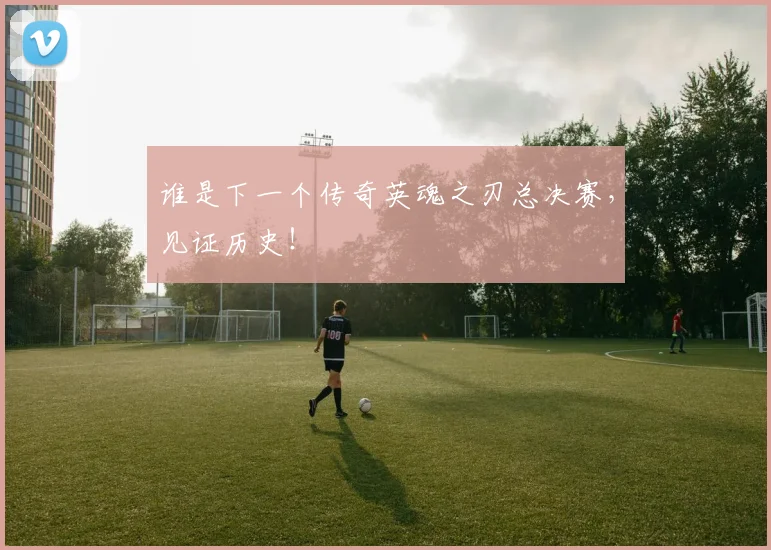 谁是下一个传奇英魂之刃总决赛，见证历史！