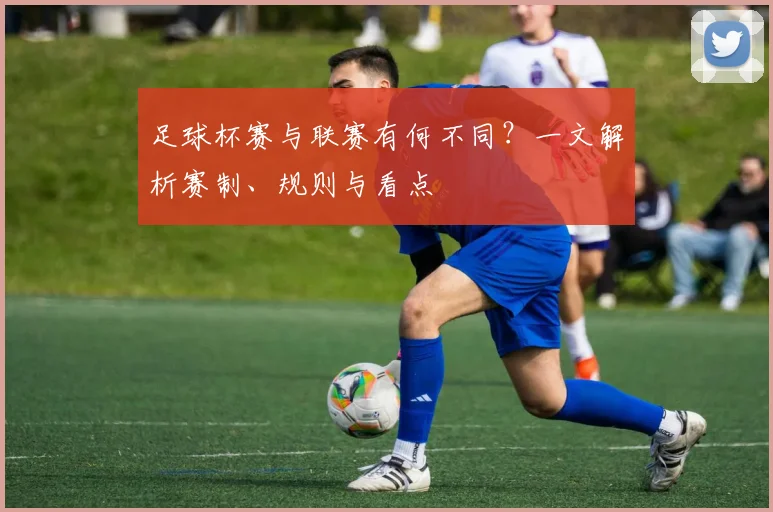 足球杯赛与联赛有何不同?一文解析赛制、规则与看点