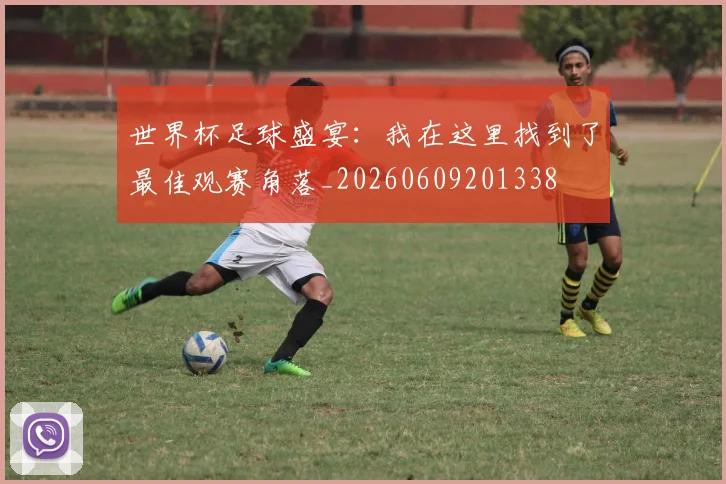 世界杯足球盛宴:我在这里找到了最佳观赛角落_20260609201338